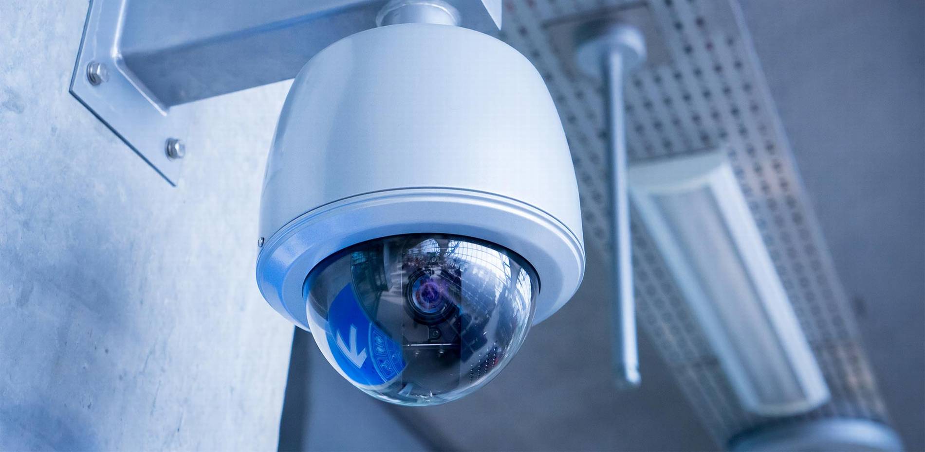 #1 Best Security Camera Company: CAT6 CAT7 CAT8 Network vs Wiring Installer Low Voltage Fiber Optic Pompano
